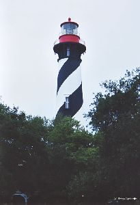 The tower over the trees.