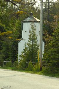 Many trees are taller than the lighthouse.