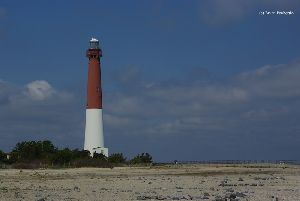 The tower.