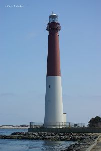 The tower.