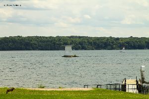 The Cole Shoal Lighthouse from the shore. Notice the fake fox? Its to keep geese from coming ashore.