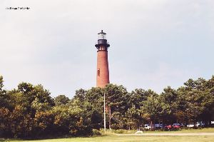 The lighthouse towers over the trees.