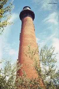 The lighthouse and trees.