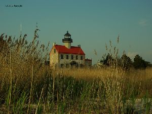 Tall grass in front of the tower.