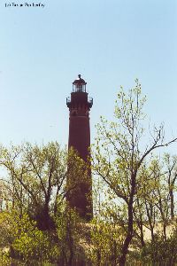 Lighthouse through the trees.