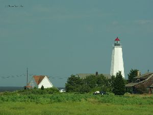 The tower from across the field.