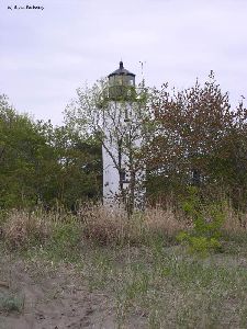 The lighthouse and the trees.
