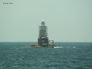 The tower.