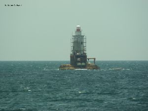 The tower.