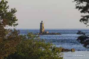 Whaleback Lighthouse through the trees.